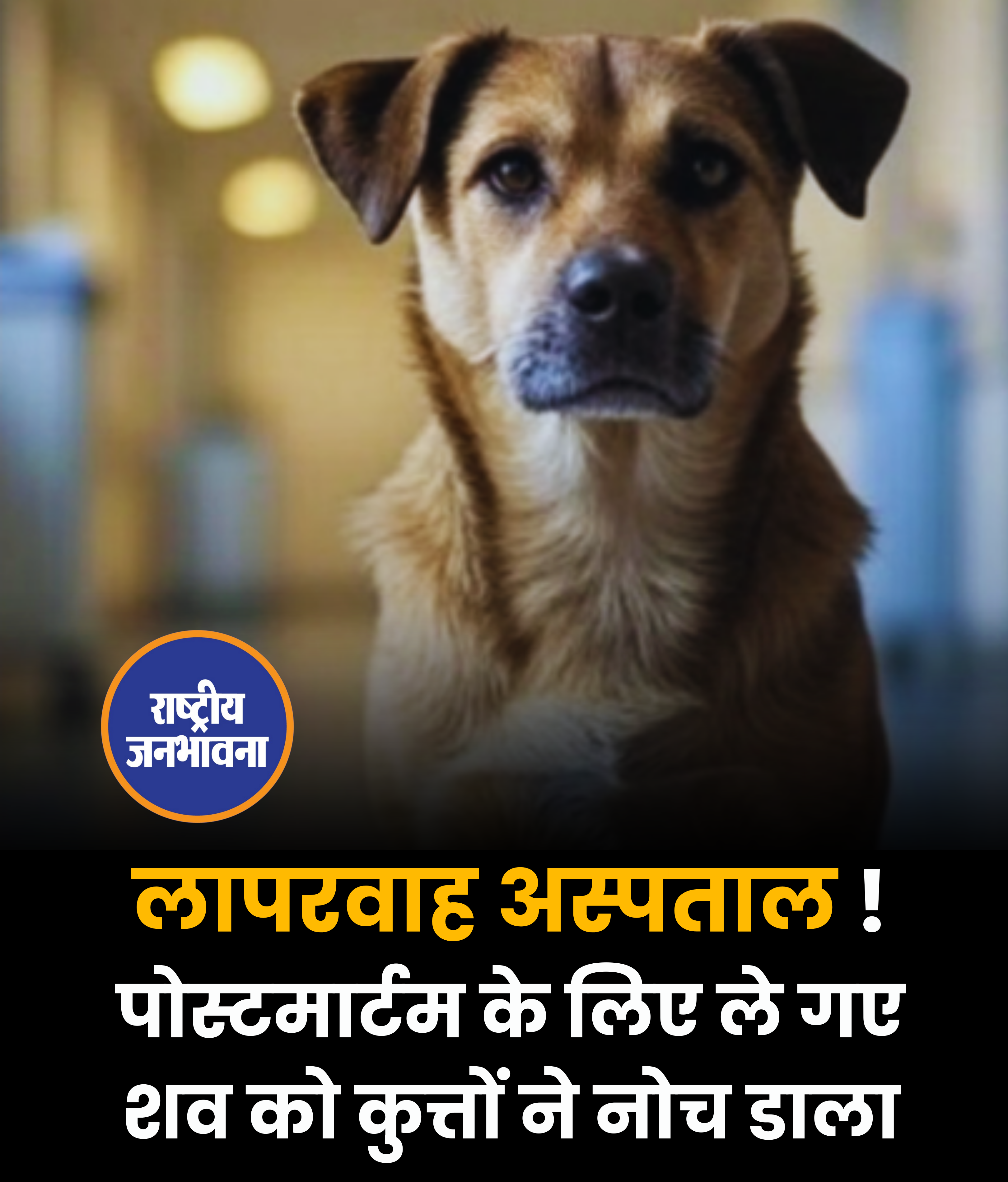 लापरवाह अस्पताल ! पोस्टमार्टम के लिए ले गए शव को कुत्तों ने नोच डाला