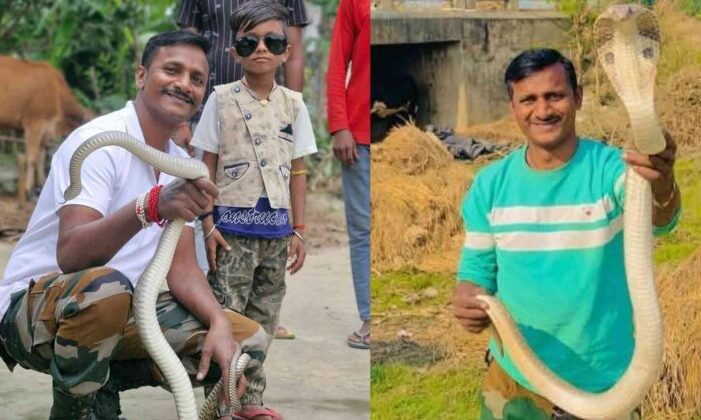 बिहार में 'सांपों के मसीहा' को सांप ने ही डस लिया,जहरीले सांप के काटने से मौत हो गई!