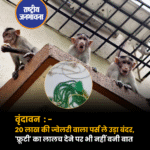 वृंदावन में श्रद्धालु का 20 लाख की ज्वेलरी वाला पर्स ले उड़ा बंदर, 'फ्रूटी' का लालच देने पर भी नहीं बनी बात