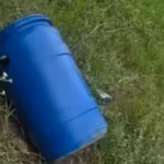 मेरठ के बाद लुधियाना में नीले ड्रम से लाश मिलने पर मची सनसनी, रस्सी से बंधे हुए थे पैर और गला मेरठ के अब पंजाब के लुधियाना में नीले ड्रम से शव मिलने के बाद इलाके में सनसनी मच गई. शेरपुर इलाके में लोग उस वक्त चौंक गए जब एक नीले रंग के प्लास्टिक ड्रम में लाश मिली. दरअसल बदबू आने पर लोगों ने पुलिस को सूचना दी. मौके पर पहुंची पुलिस ने जब ड्रम खोला तो उसमें एक अज्ञात व्यक्ति का शव मिला, जो प्लास्टिक के बोरे में लिपटा हुआ था. हैरानी की बात यह रही कि शव के पैर और गला रस्सी से बंधे हुए थे. #Meerut #BlueDrum #Ludhiana