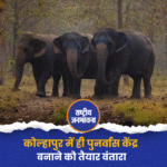 कोल्हापुर में ही पुनर्वास केंद्र बनाने को तैयार वंतारा