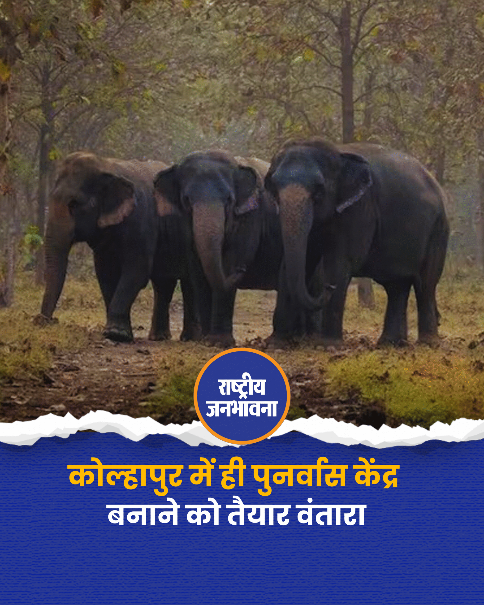 कोल्हापुर में ही पुनर्वास केंद्र बनाने को तैयार वंतारा