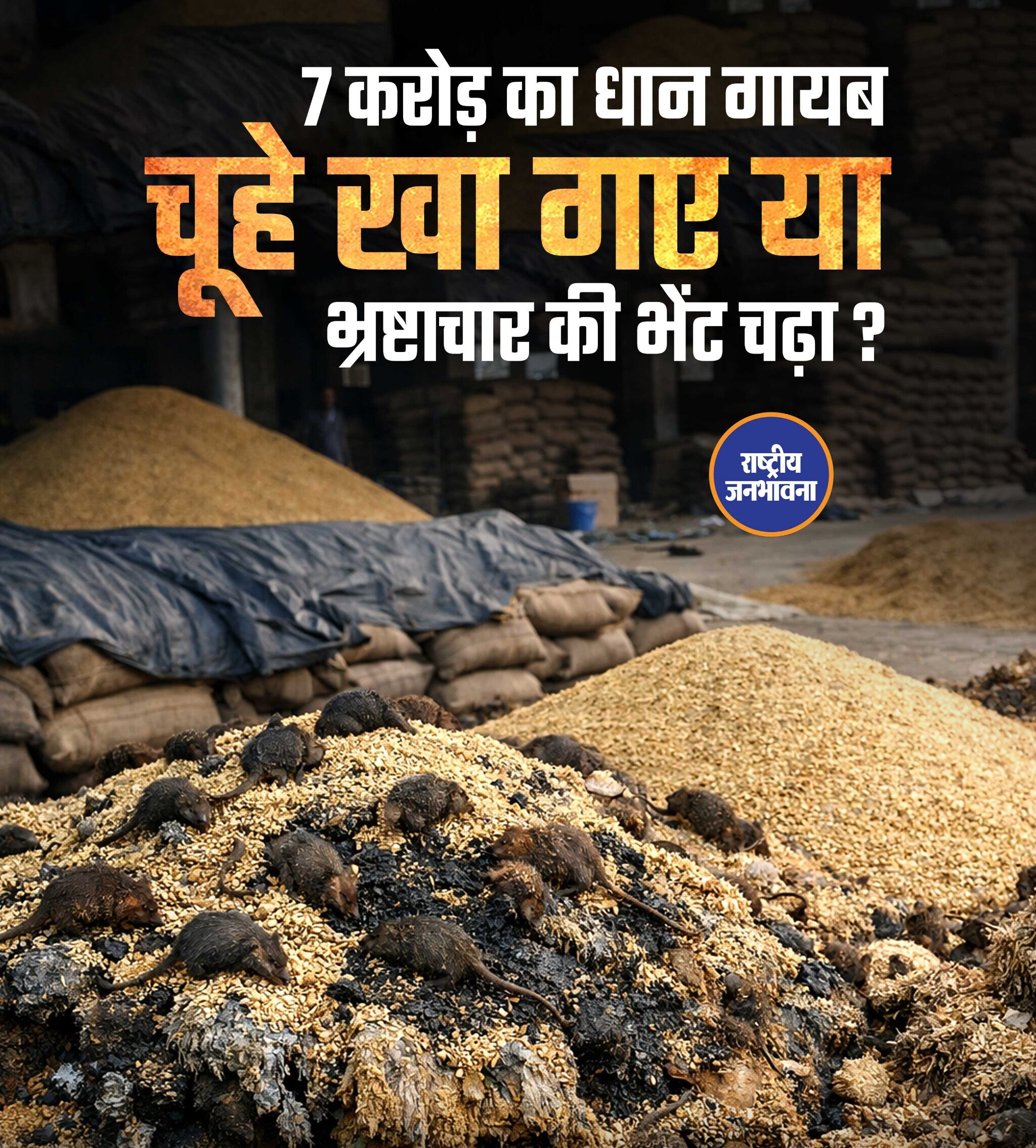7 करोड़ का धान गायब! चूहे रखा गरे या भ्रष्टाचार की भेंट चढ़ा?