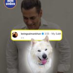 My Sukh' 🐶 Salman Khan ने अपने इंस्टाग्राम अकाउंट से देर रात अपने पालतू डॉग की फोटोज शेयर कीं