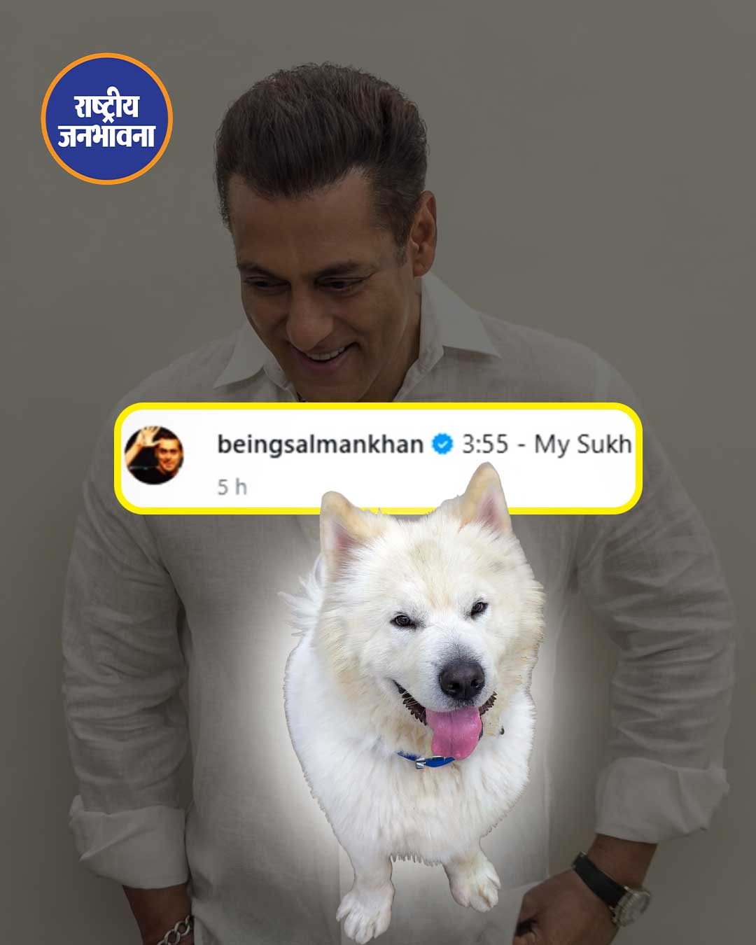 My Sukh' 🐶 Salman Khan ने अपने इंस्टाग्राम अकाउंट से देर रात अपने पालतू डॉग की फोटोज शेयर कीं