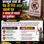 सिंगापुर अपने सख्त कानूनों और अनुशासन के लिए दुनिया भर में जाना जाता है, लेकिन हाल ही में वहां का एक कानून सोशल मीडिया पर चर्चा का विषय बन गया. वायरल वीडियो में एक भारतीय कंटेंट क्रिएटर ने बताया कि सिंगापुर में सड़क पर गिरे आम को उठाना भी भारी पड़ सकता है. दावा किया गया कि ऐसा करने पर 5,000 सिंगापुर डॉलर यानी करीब 3.74 लाख रुपये तक का जुर्माना लग सकता है.