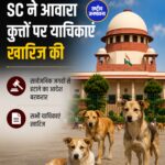 सुप्रीम कोर्ट ने आवारा कुत्तों को सार्वजनिक स्थानों से हटाने के आदेश में किसी भी तरह का संशोधन करने से इनकार कर दिया है। डॉग लवर्स और NGOs की सभी याचिकाएं खारिज कर दी गई हैं।