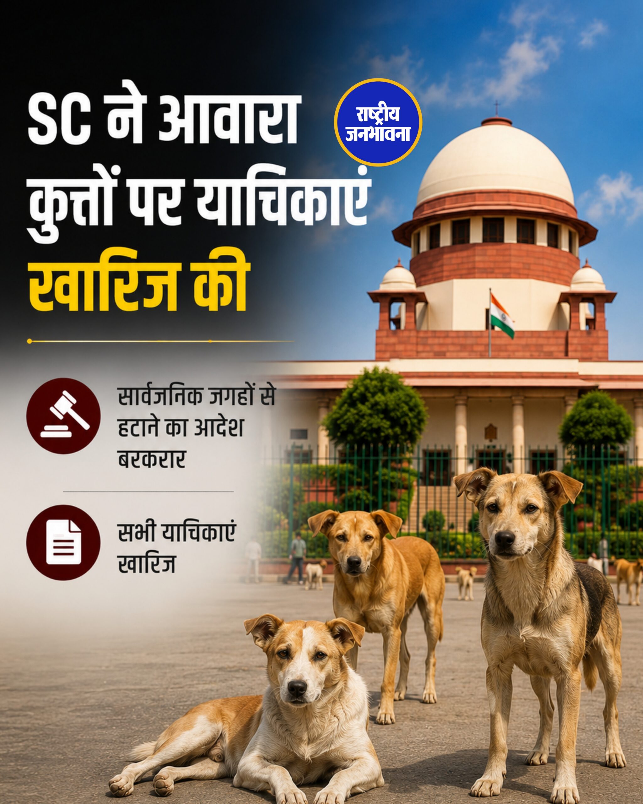 सुप्रीम कोर्ट ने आवारा कुत्तों को सार्वजनिक स्थानों से हटाने के आदेश में किसी भी तरह का संशोधन करने से इनकार कर दिया है। डॉग लवर्स और NGOs की सभी याचिकाएं खारिज कर दी गई हैं।