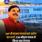 MP में मत्स्य पालन को मिलेगा उद्योगों जैसा प्रोत्साहन, CM मोहन यादव ने किया ऐलान