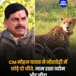 मध्य प्रदेश के नए चीतों के नाम व्योम और नीरा, वीरांगना दुर्गावती टाइगर रिजर्व में बढ़ेगी रौनक
