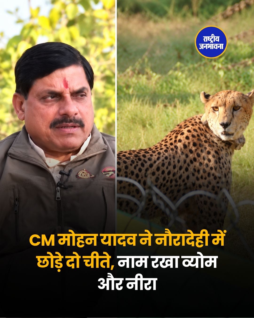 मध्य प्रदेश के नए चीतों के नाम व्योम और नीरा, वीरांगना दुर्गावती टाइगर रिजर्व में बढ़ेगी रौनक