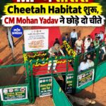 MP में तीसरा Cheetah Habitat शुरू, CM Mohan Yadav ने छोड़े दो चीते